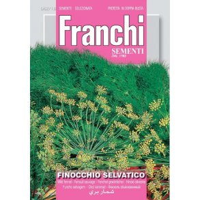 Vildfnkl (Finocchio selvatico) - STORPACK