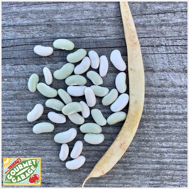 Kokb�na FLAGEOLET CHEVRIER VERT A ECOSSER - Ekologiska fr�er