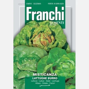Mixsallat - MISTICANZA LATTUGHE BURRO (Butterhead) 