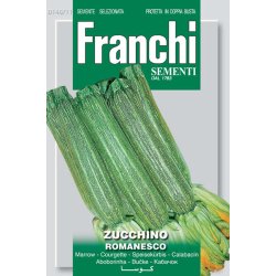 Zucchini Romanesco - STORPACK