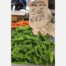 Peperone FRIARIELLO (Friggitelli) 