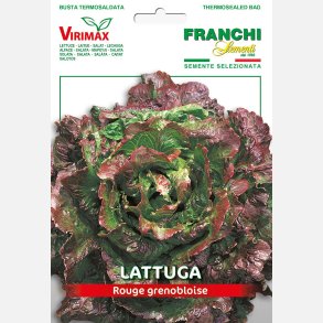 Bataviasallat ROUGE GRENOBLOISE