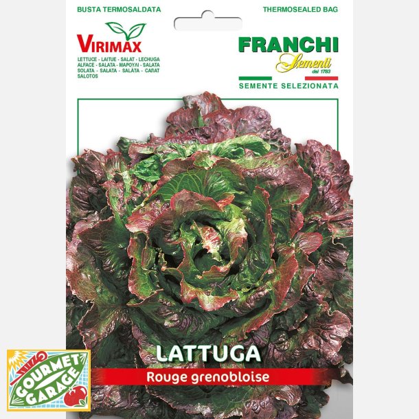 Bataviasallat Rouge Grenobloise - STORPACK