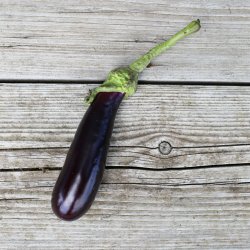 Aubergine de Barbentane - ekologiska fr�er