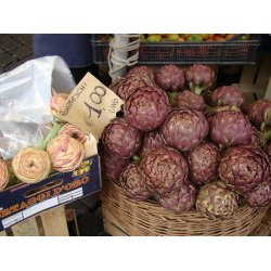 Kronrtskocka Romanesco - STORPACK