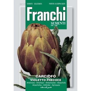 Kronrtskocka lila - Violet de Provence 