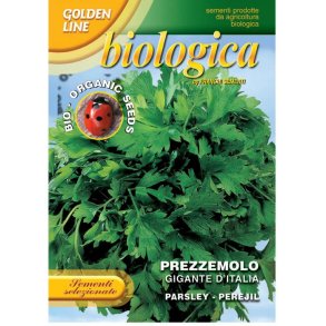 Persilja GIGANTE D'ITALIA - ekologiska frer 