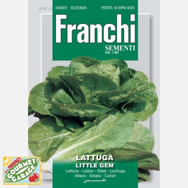 Sallat Little Gem (cossallat) - STORPACK