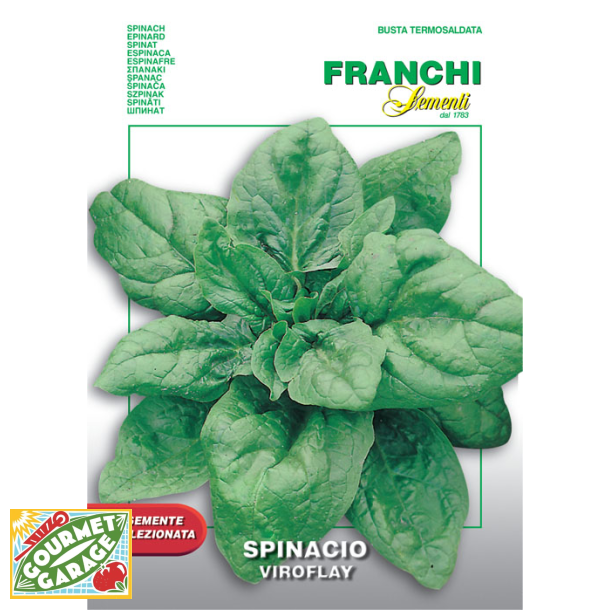 Spenat Viroflay