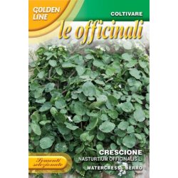 Vattenkrasse - Crescione delle fontane