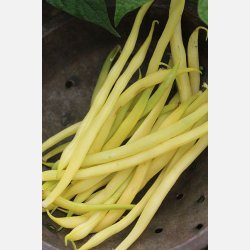 Vaxbna Beurre de Rocquencourt - STORPACK