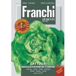 Sallat Meraviglia d'Inverno sel. S. Martino
