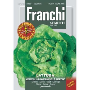 Sallat Meraviglia d'Inverno sel. S. Martino