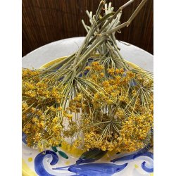 Vildfnkl (Finocchio selvatico) - STORPACK