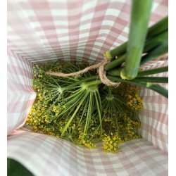 Vildfnkl (Finocchio selvatico) - STORPACK