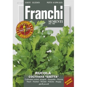 Rucola coltivata sel. SAETTA