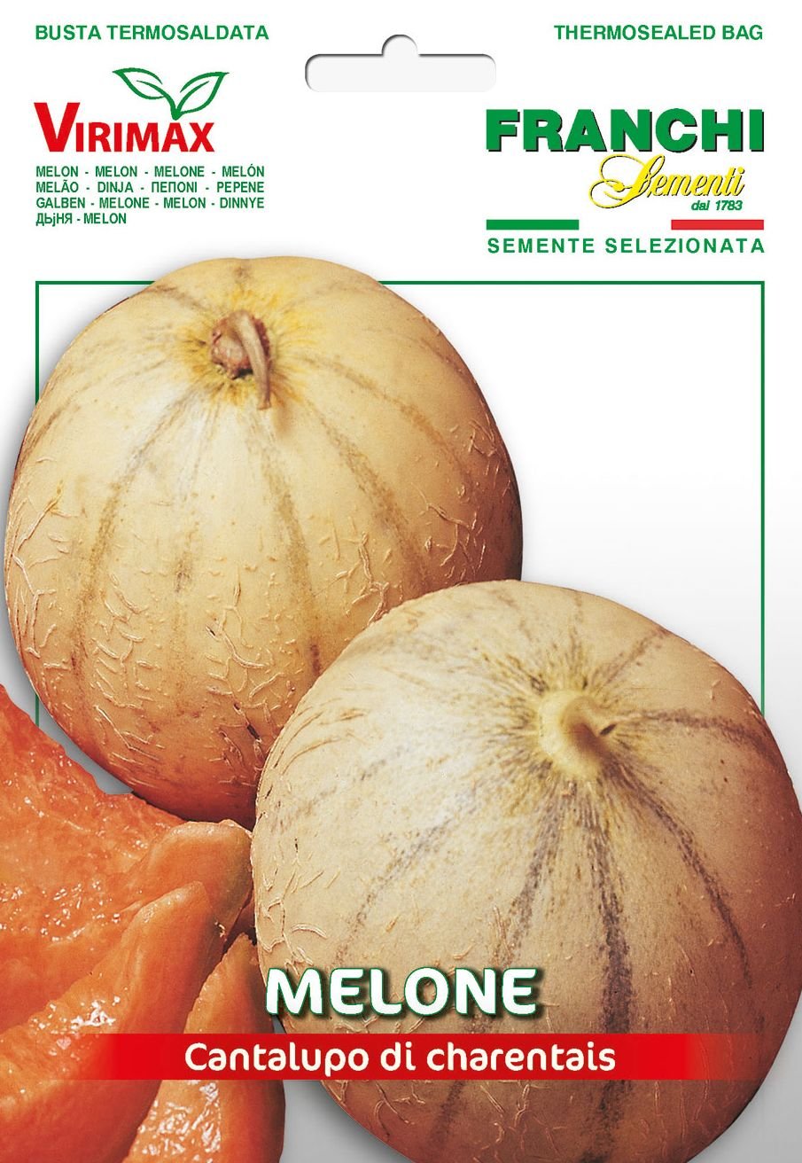 Melon Cantalupo di Charentais FRUKTGRÖNSAKER Gourmetgarage