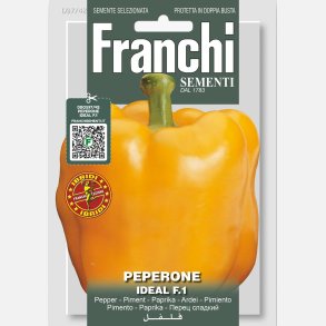 Paprika Ideal F1 - Selezione speciale