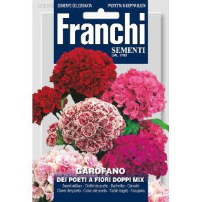 Garofano dei poeti a fiori doppi mix