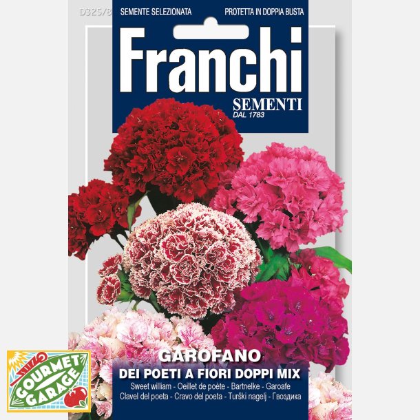 Garofano dei poeti a fiori doppi mix