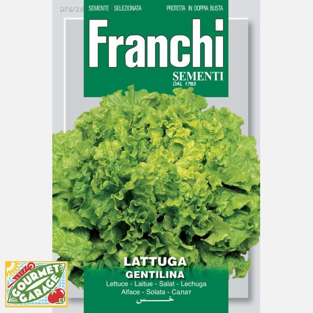 Sallat GENTILINA
