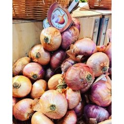 L�k GLOBRUNA- STORPACK