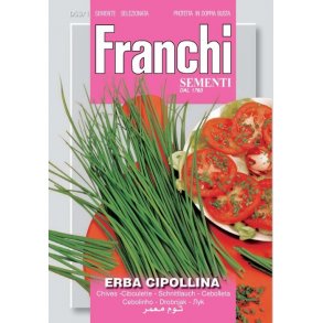 GRSLK (Erba Cipollina)