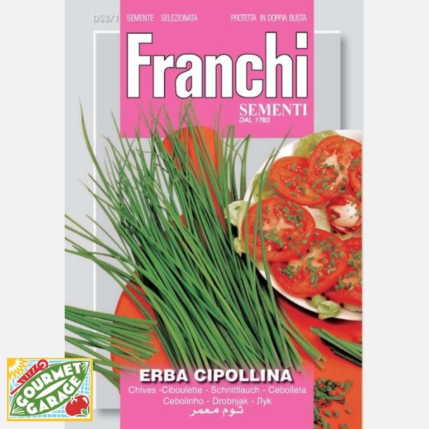 Grslk - Erba Cipollina