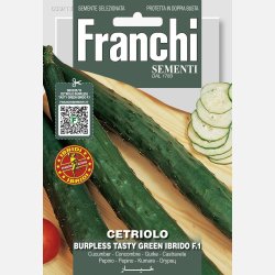 Slanggurka Burpless Tasty Green Ibridi F1 