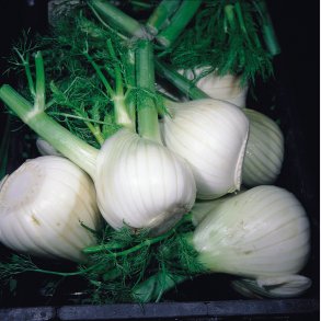 Fnkl Mantovano - Jttefrpackning