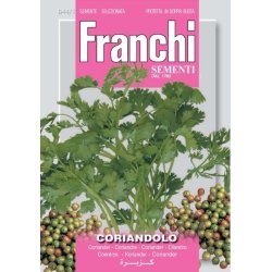 KORIANDER (Coriandolo)