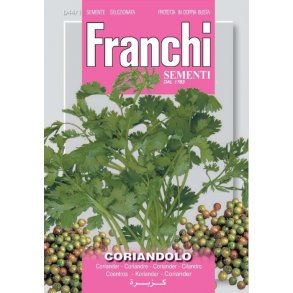 KORIANDER (Coriandolo)
