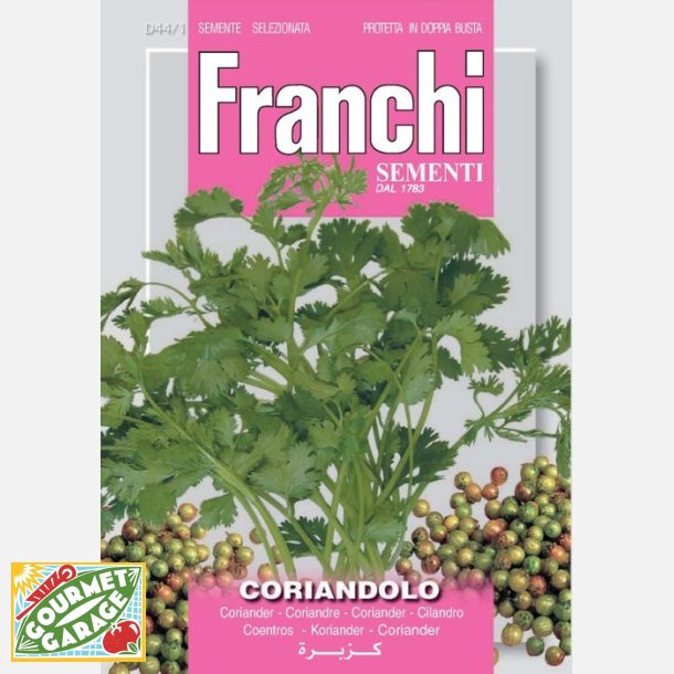 Koriander (Coriandolo)