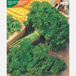 Kruspersilja RICCIO MUSCHIATO 2