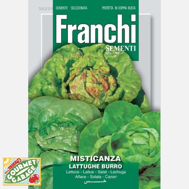Mixsallat - Misticanza lattughe burro (Butterhead) - STORPACK