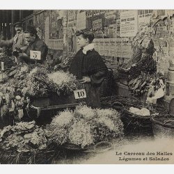 Rdisa RADIS DE 18 JOURS (Franchi)