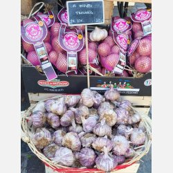 Vitl�k fransk (Ail violet) Germidour - 2 hela l�kar