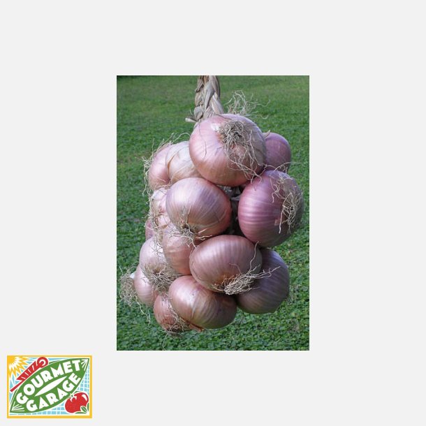 L�k GLOBRUNA- STORPACK