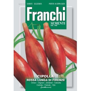 L�k ROSSA LUNGA DI FIRENZE (Franchi)