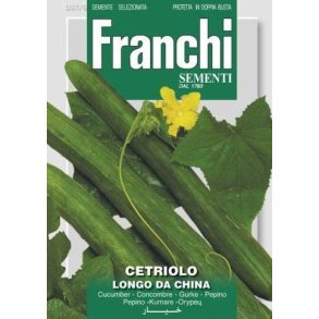 Slanggurka Longo da China - STORPACK