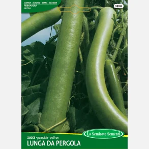 CUCUZZA SQUASH /Serpente di Sicilia/Lunga da pergola 