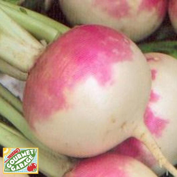 Majrova DE NANCY - ekologiska frer