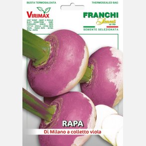 Majrova RAPA DI MILANO A COLLETTO VIOLA (Franchi)