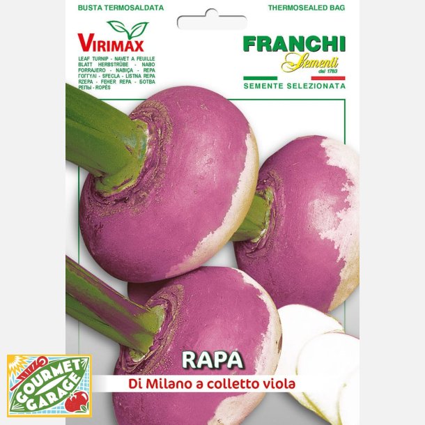 Majrova RAPA DI MILANO A COLLETTO VIOLA (Franchi)