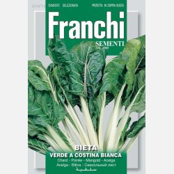 Mangold AGILA (Franchi)