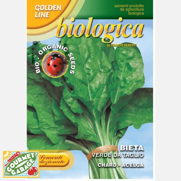 Mangold bieta verde da taglio ERBETTE  ekologiska frer  