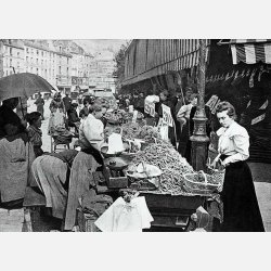 Huvudsallat (sm�r/batavia) LILLOISE - Ekologiska fr�er