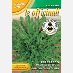 Maskros DENTE DI LEONE (Franchi)