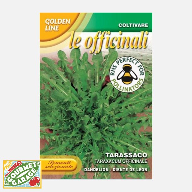 Maskros DENTE DI LEONE (Franchi)