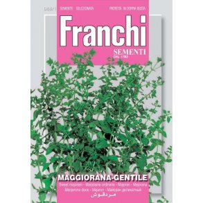 MEJRAM - Maggiorana gentile 